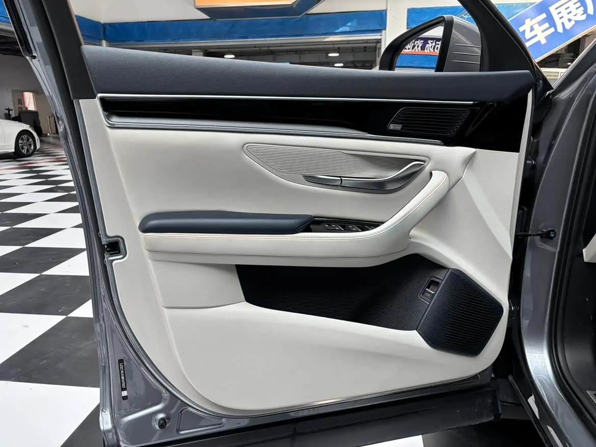 BYD Song PLUS PHEV 2022 — Фото 10/15