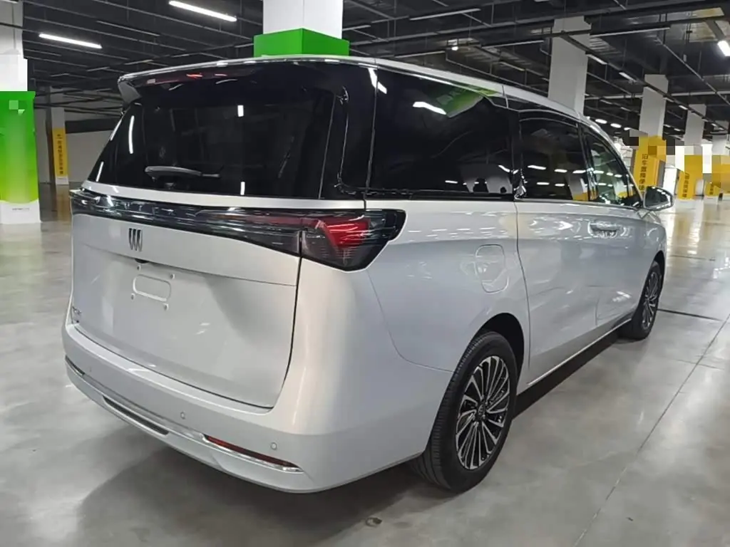 Buick GL8 New Energy 2025 — ფოტო 7/20