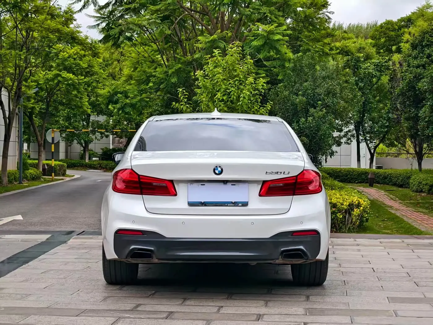 BMW 5 Series 2020 — Photo 5/14