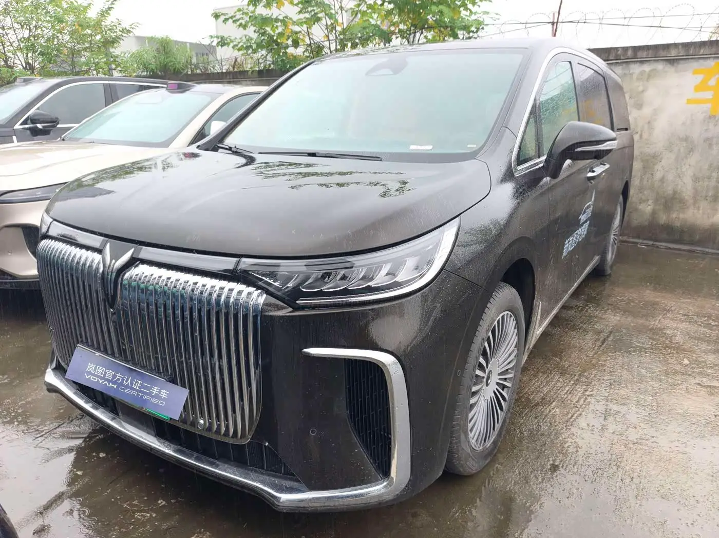 Voyah Auto Voyah Dreamer, 2024