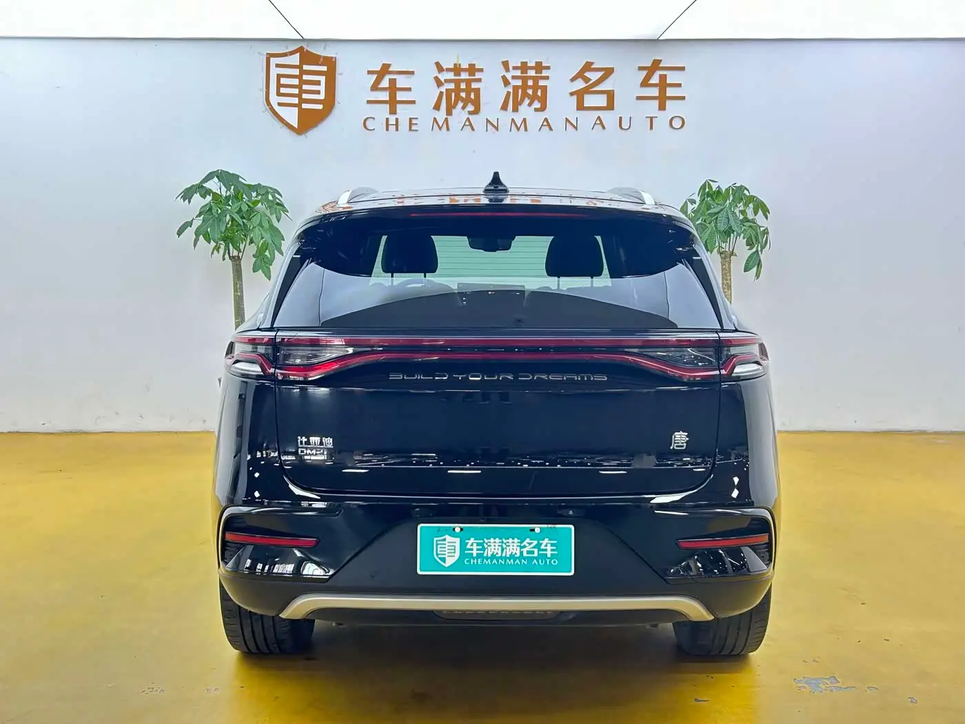 BYD Tang New Energy 2023 — Şəkil 10/10