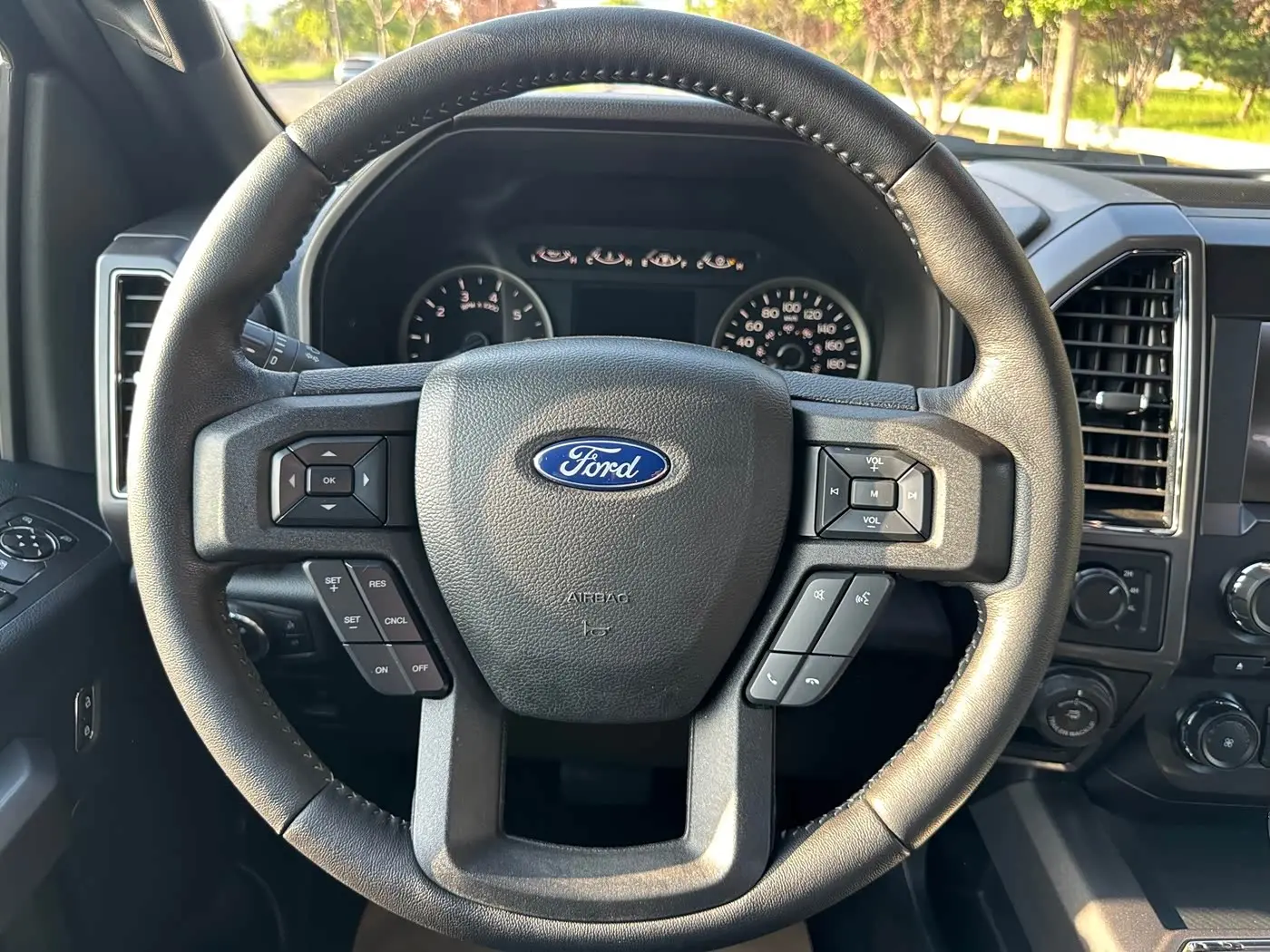 Ford F-150 Raptor 2019 — Фото 15/20