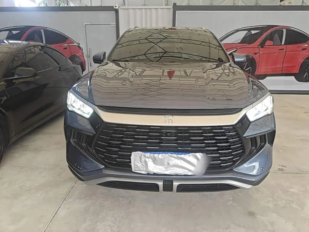 BYD Song Pro New Energy 2023 — Фото 3/20