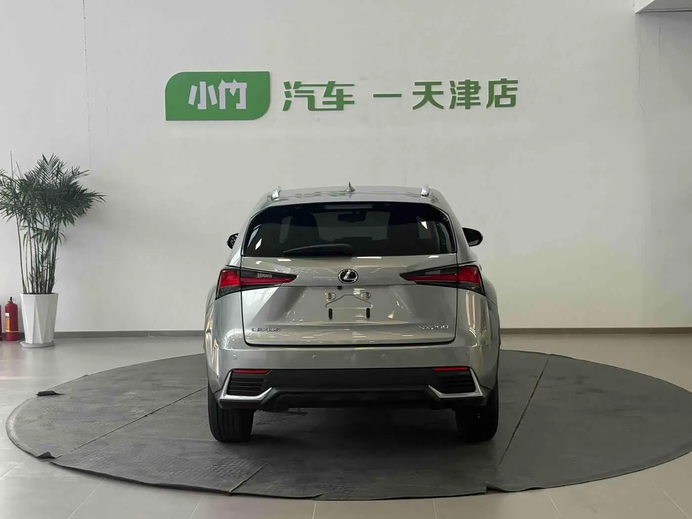 Lexus NX 2020 — Photo 2/20