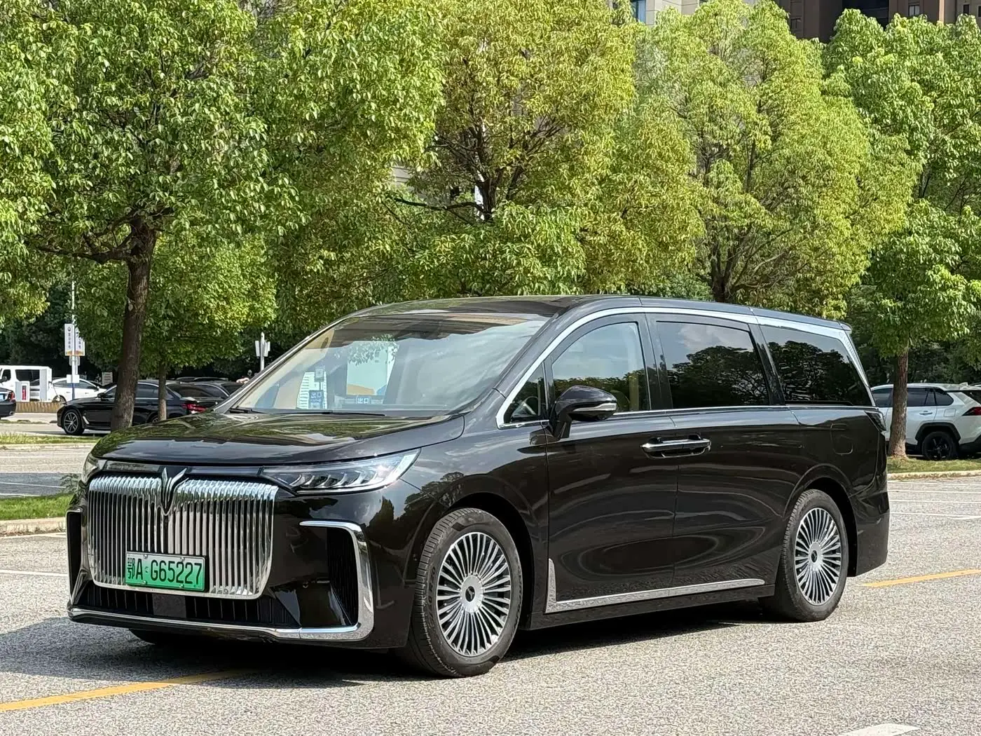 Voyah Auto Voyah Dreamer 2024 — Şəkil 1/16