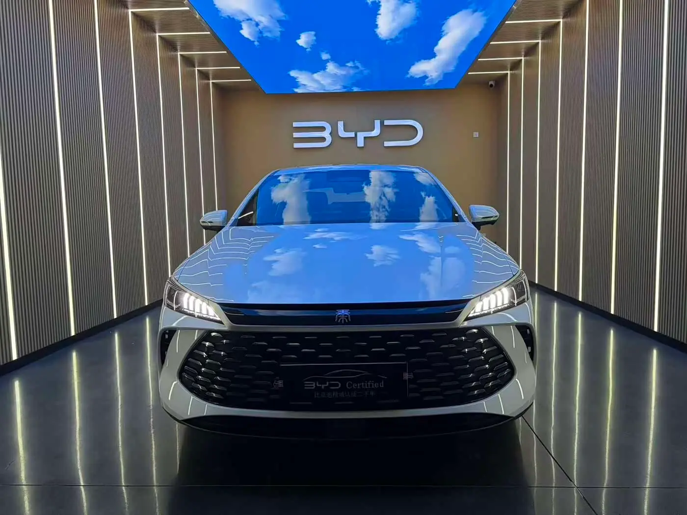 BYD Qin PLUS 2025 — Photo 2/16