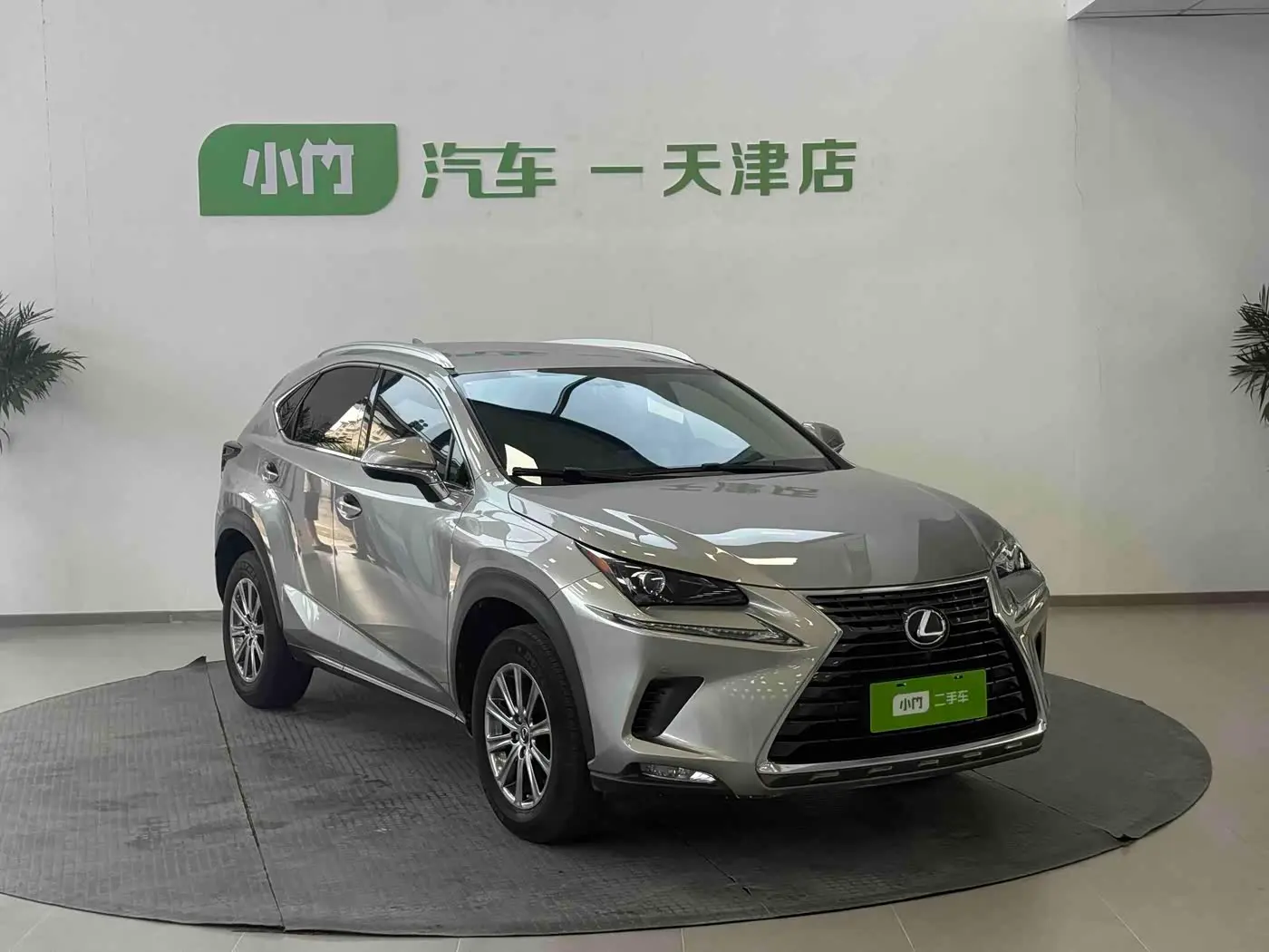 Lexus NX 2020 — Photo 3/20