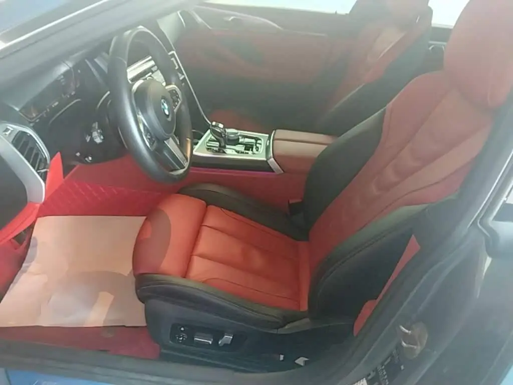 BMW 8 Series 2020 — Photo 15/20