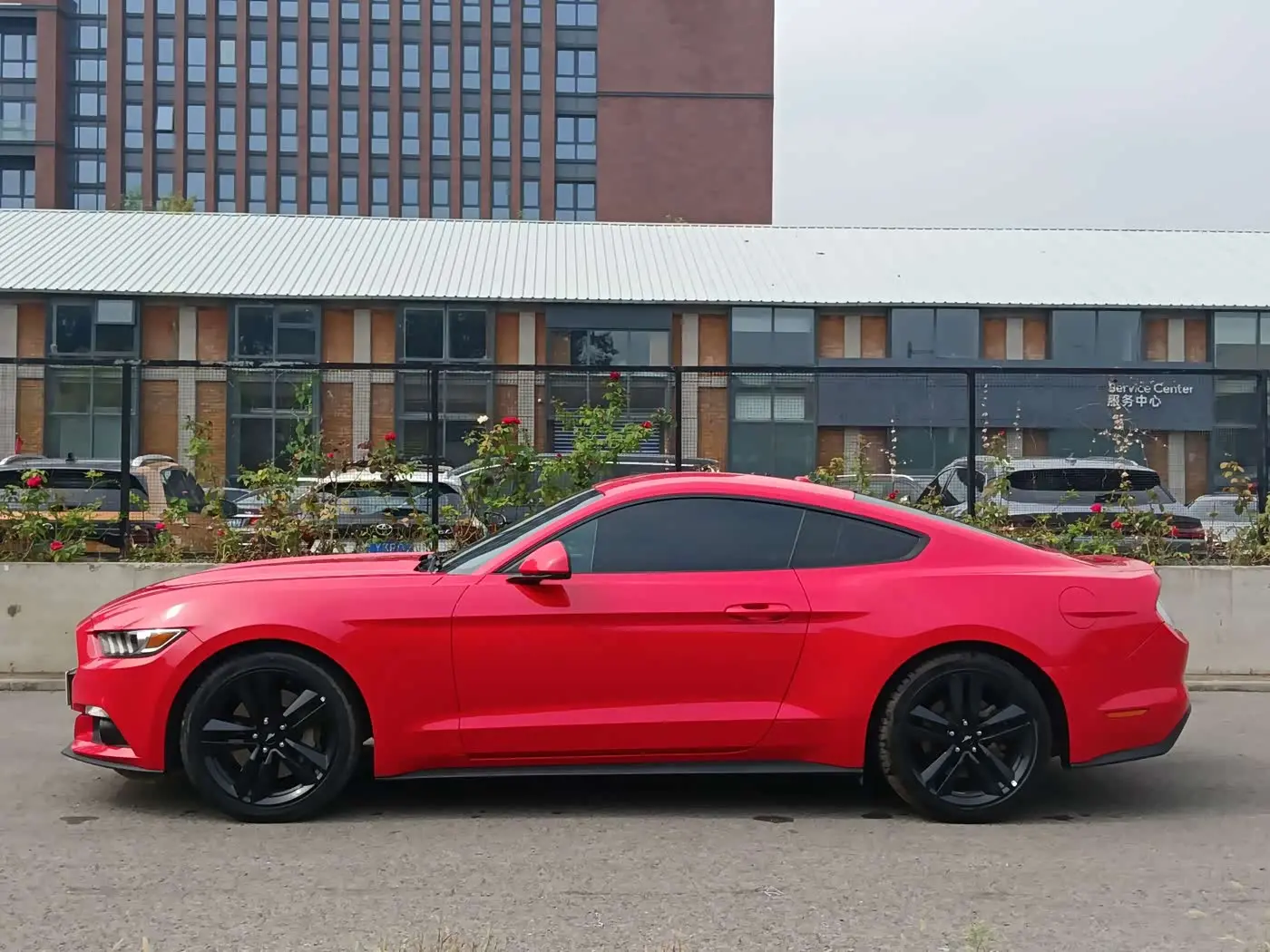 Ford Mustang 2017 — Photo 6/20