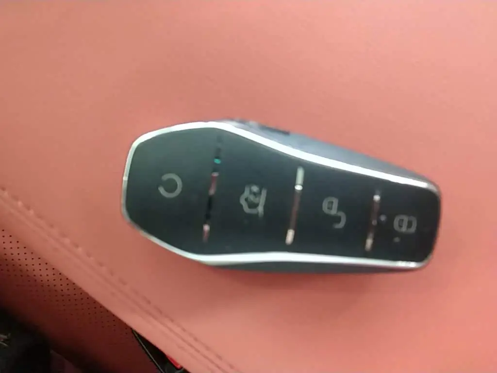 BYD Tang L 2025 — Photo 9/20