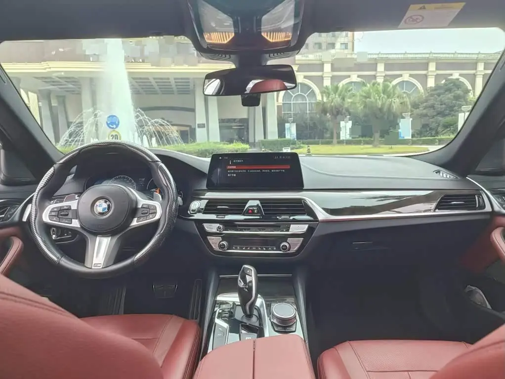 BMW 5 Series 2019 — Фото 12/13