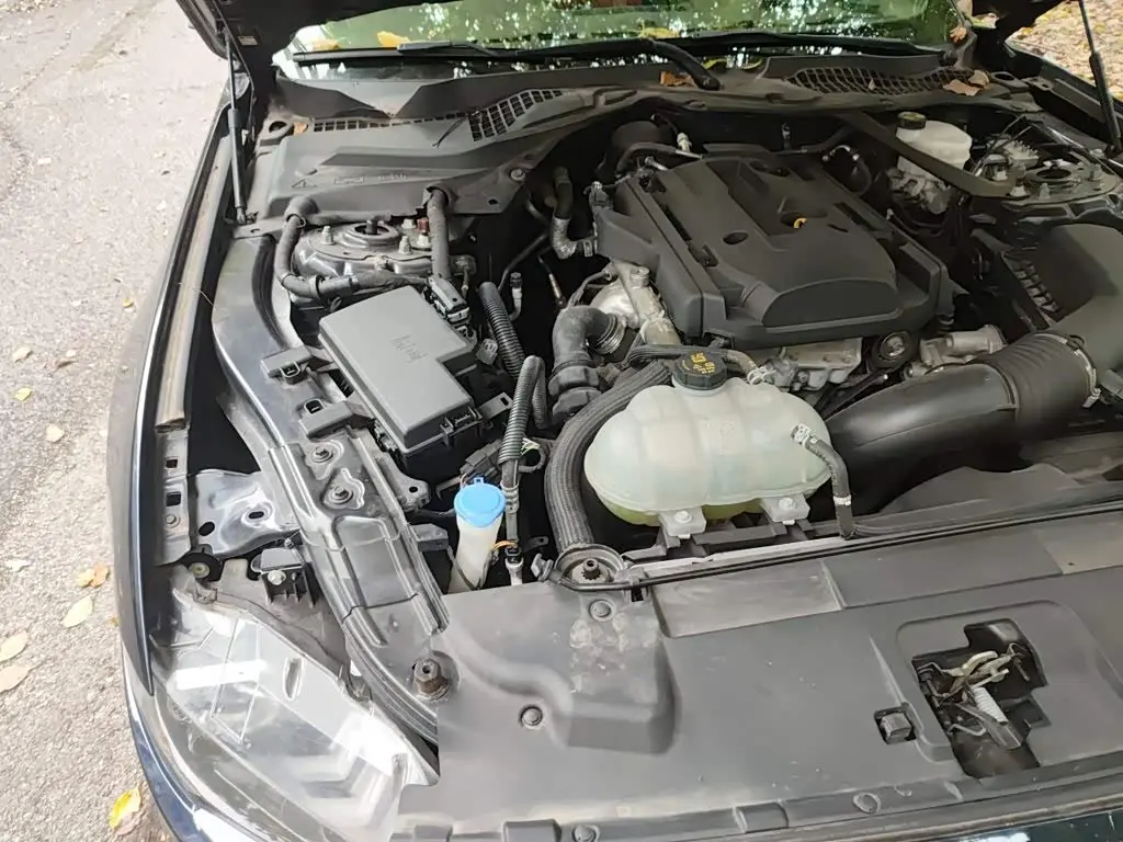 Ford Mustang 2022 — Photo 19/20