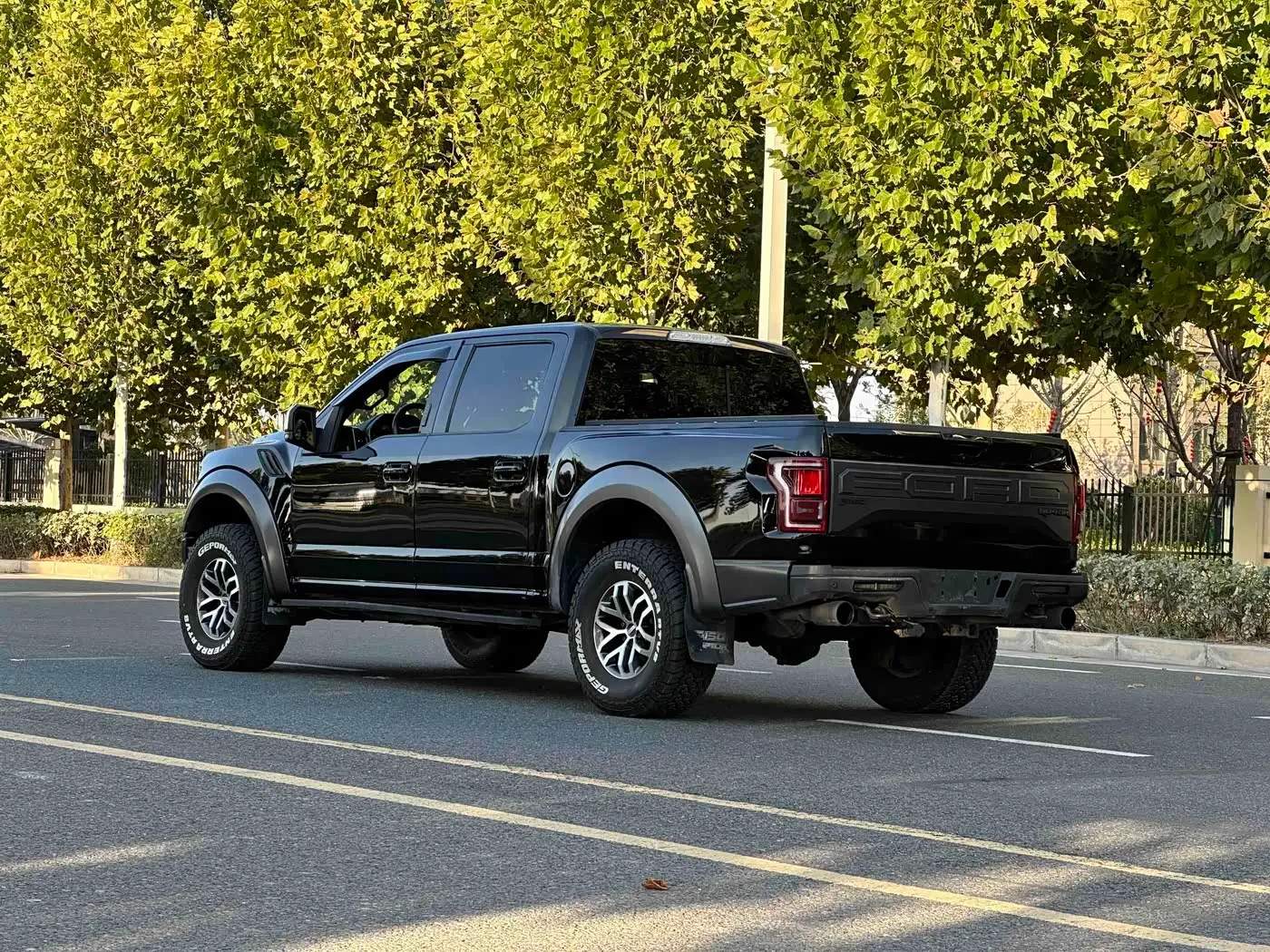 Ford F-150 Raptor 2017 — Фото 9/9