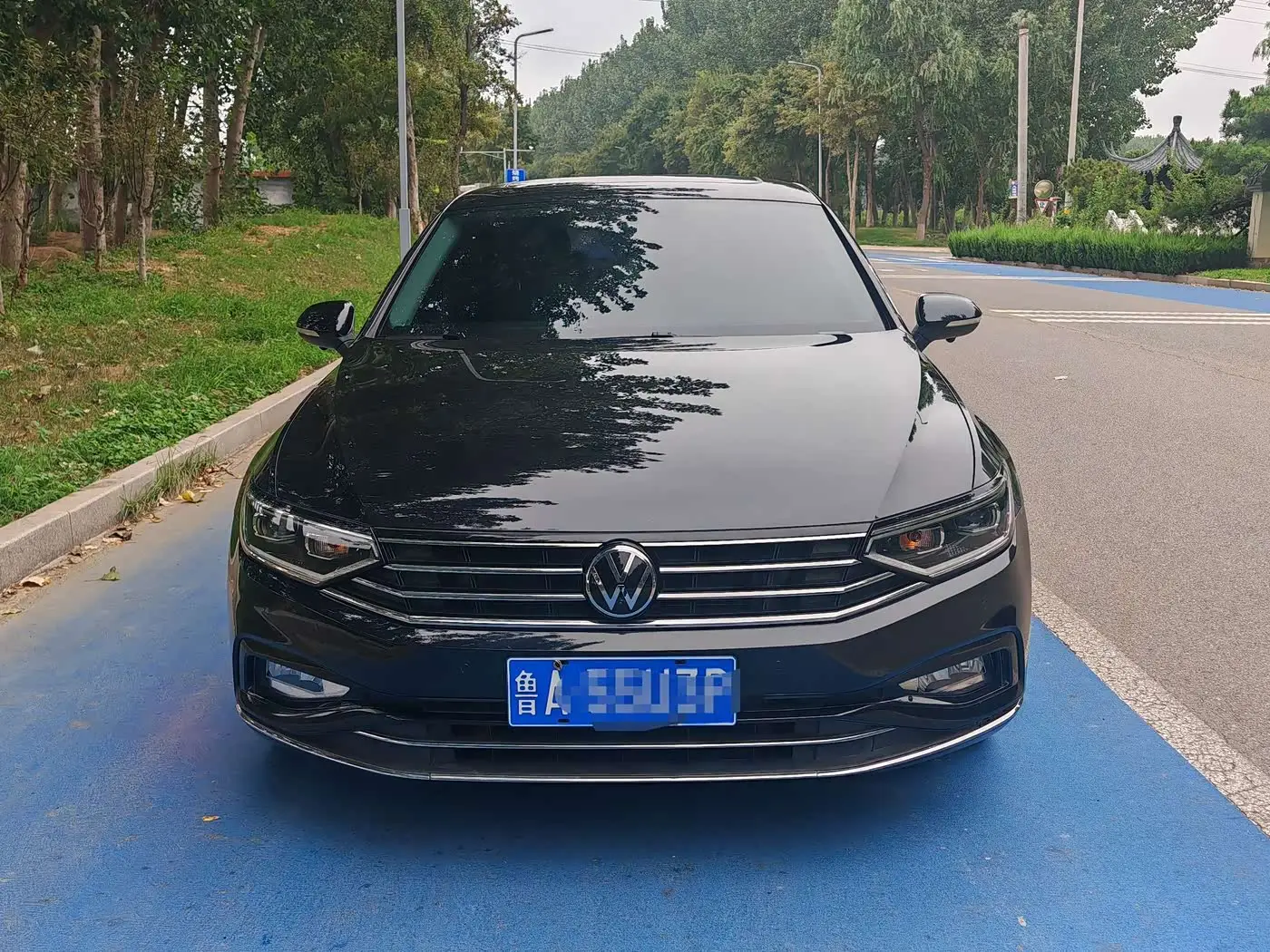 Volkswagen Magotan, 2020