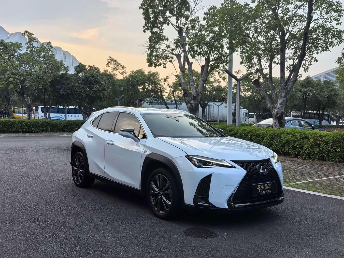Lexus UX 2020 — Фото 4/20