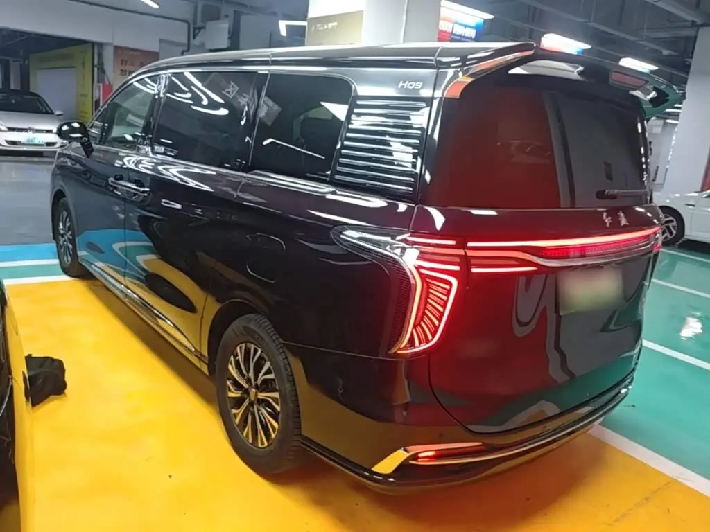 Hongqi HQ9 PHEV 2024 — Şəkil 5/20