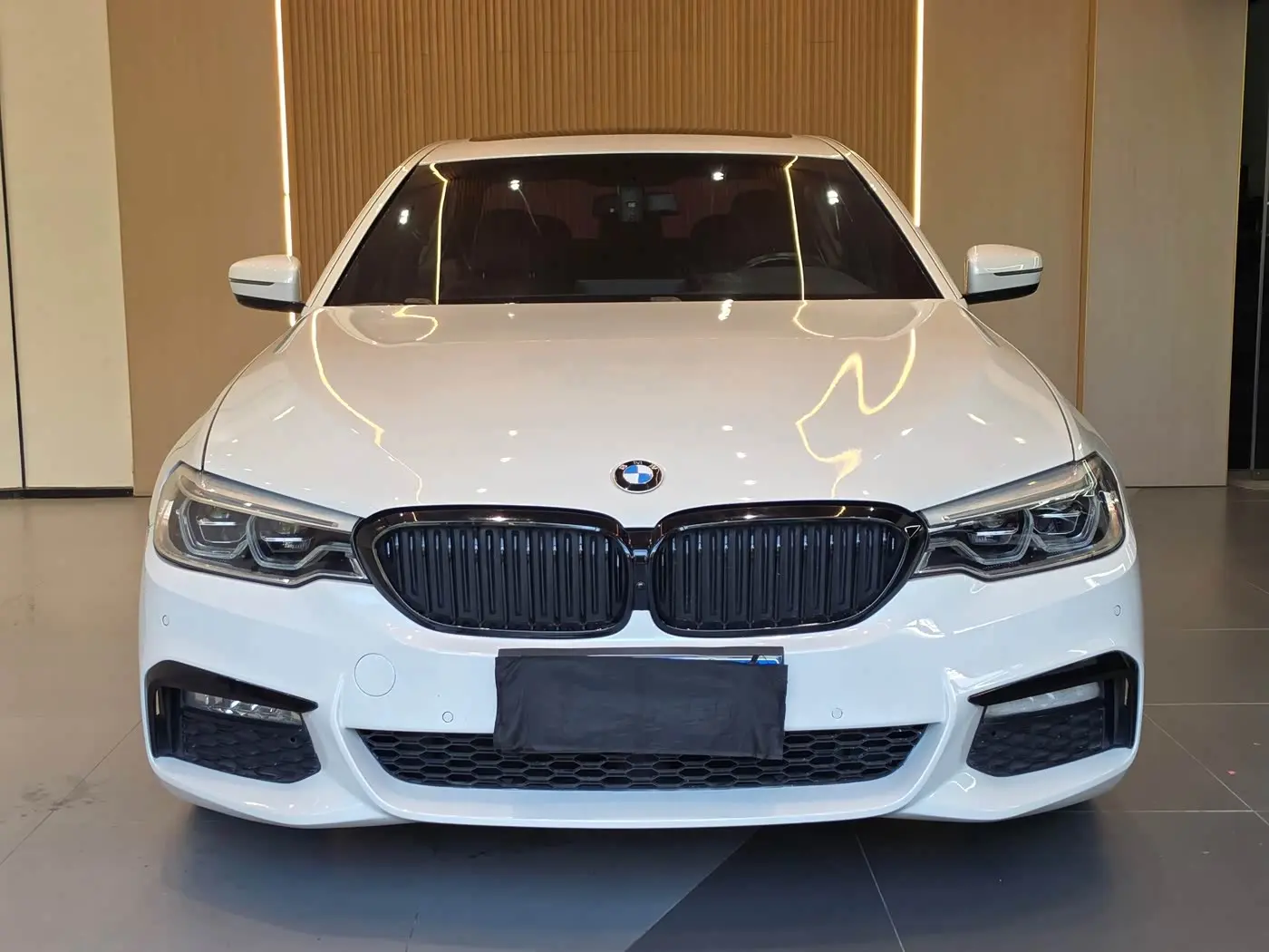 BMW 5 Series 2020 — Şəkil 2/19