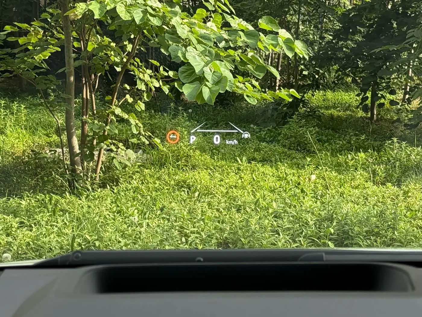 Toyota Alphard 2023 — Şəkil 16/17