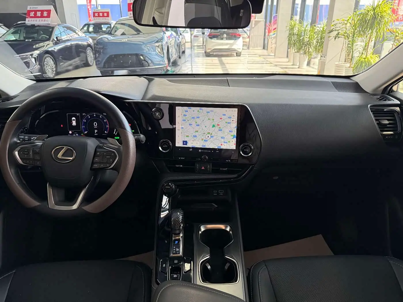Lexus NX 2024 — Photo 10/16