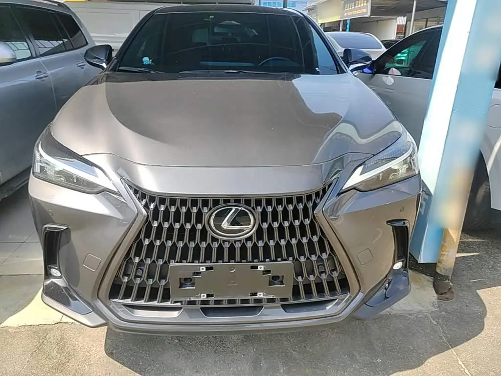 Lexus NX 2024 — ფოტო 3/20