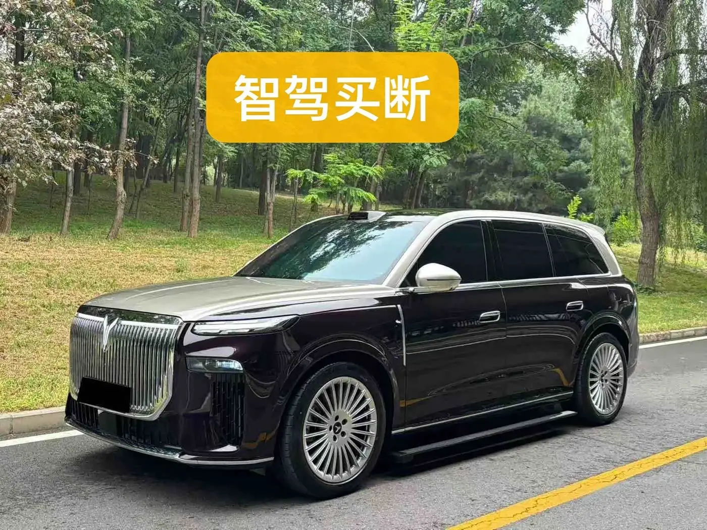 Voyah Auto VOYAH Taisan, 2026