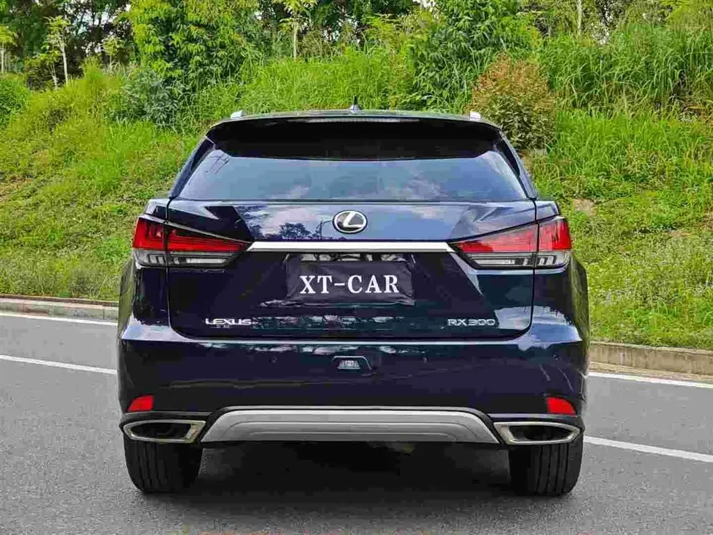 Lexus RX 2022 — Photo 8/9