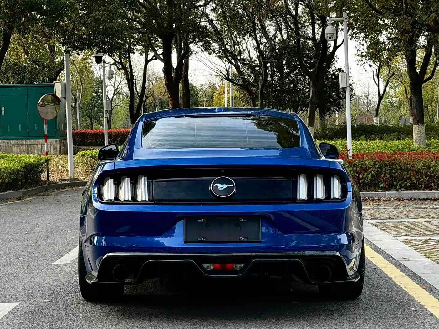 Ford Mustang 2017 — Photo 5/15