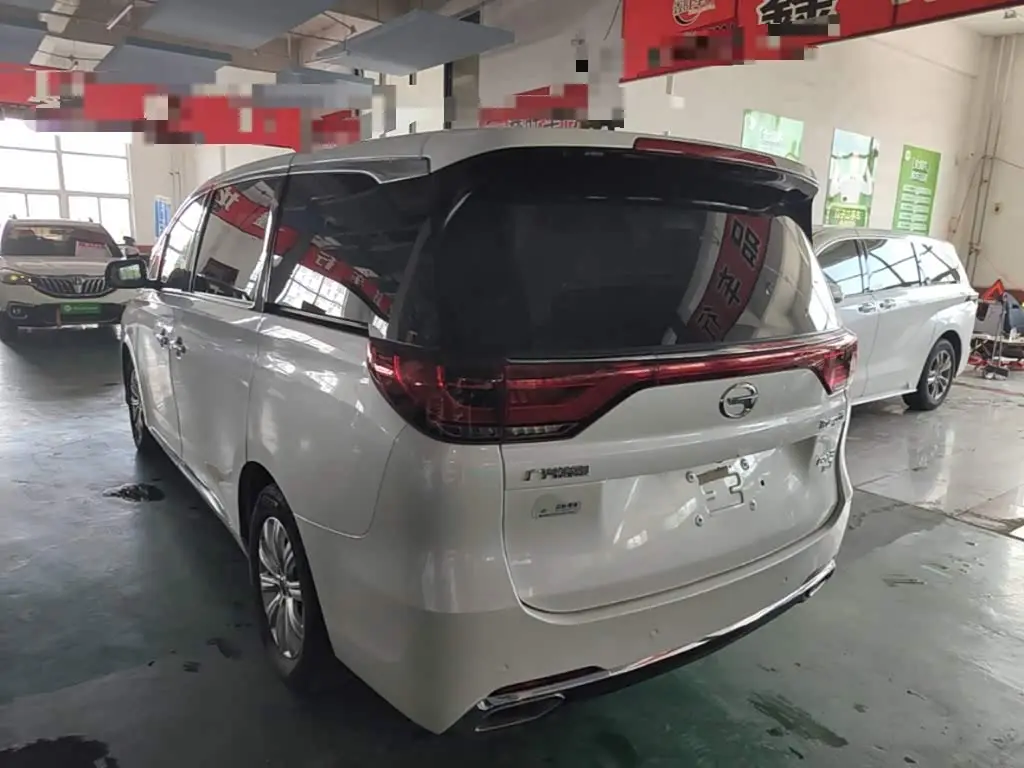 GAC Trumpchi Trumpchi M8 2019 — Фото 5/20