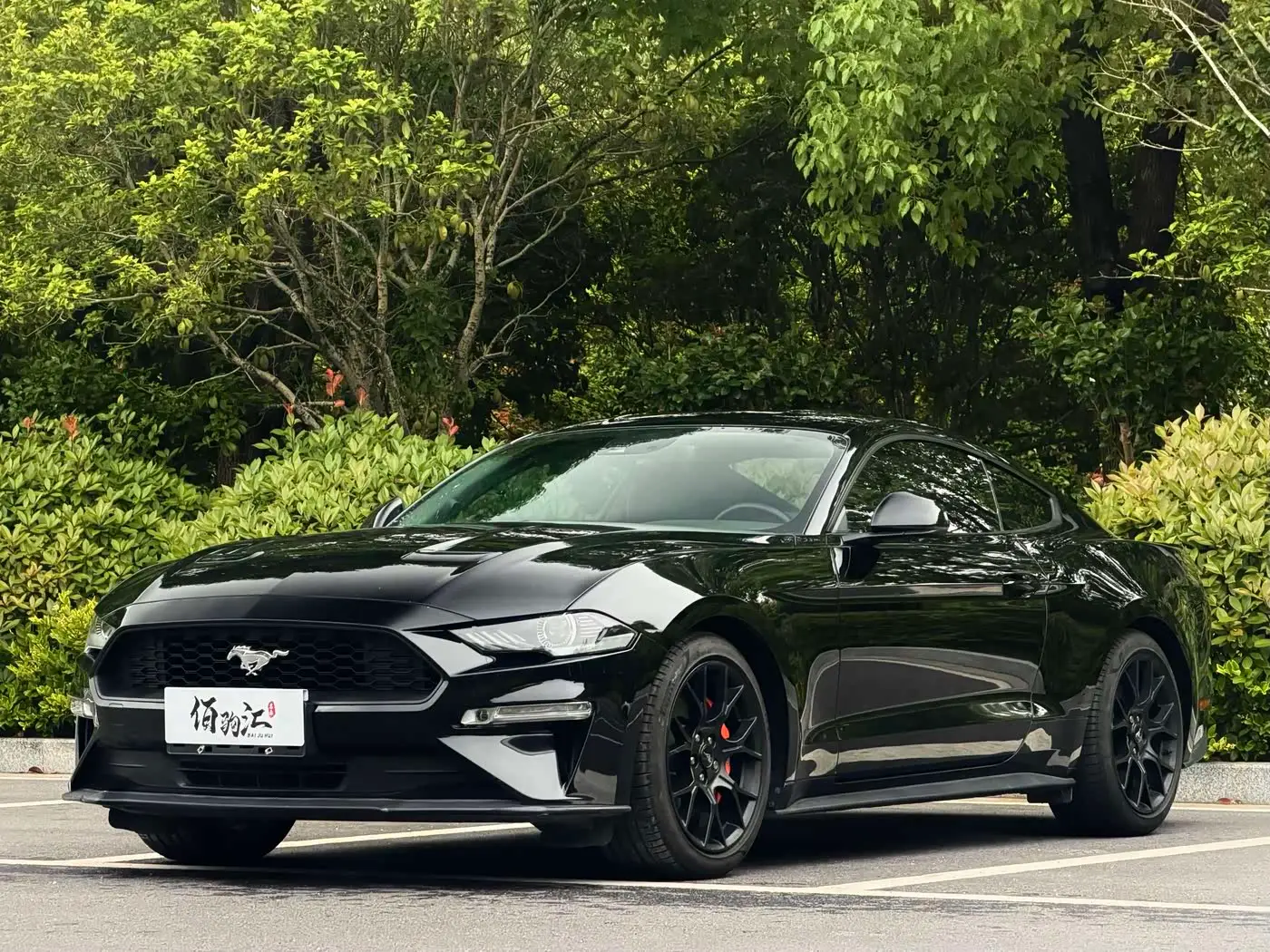 Ford Mustang, 2019