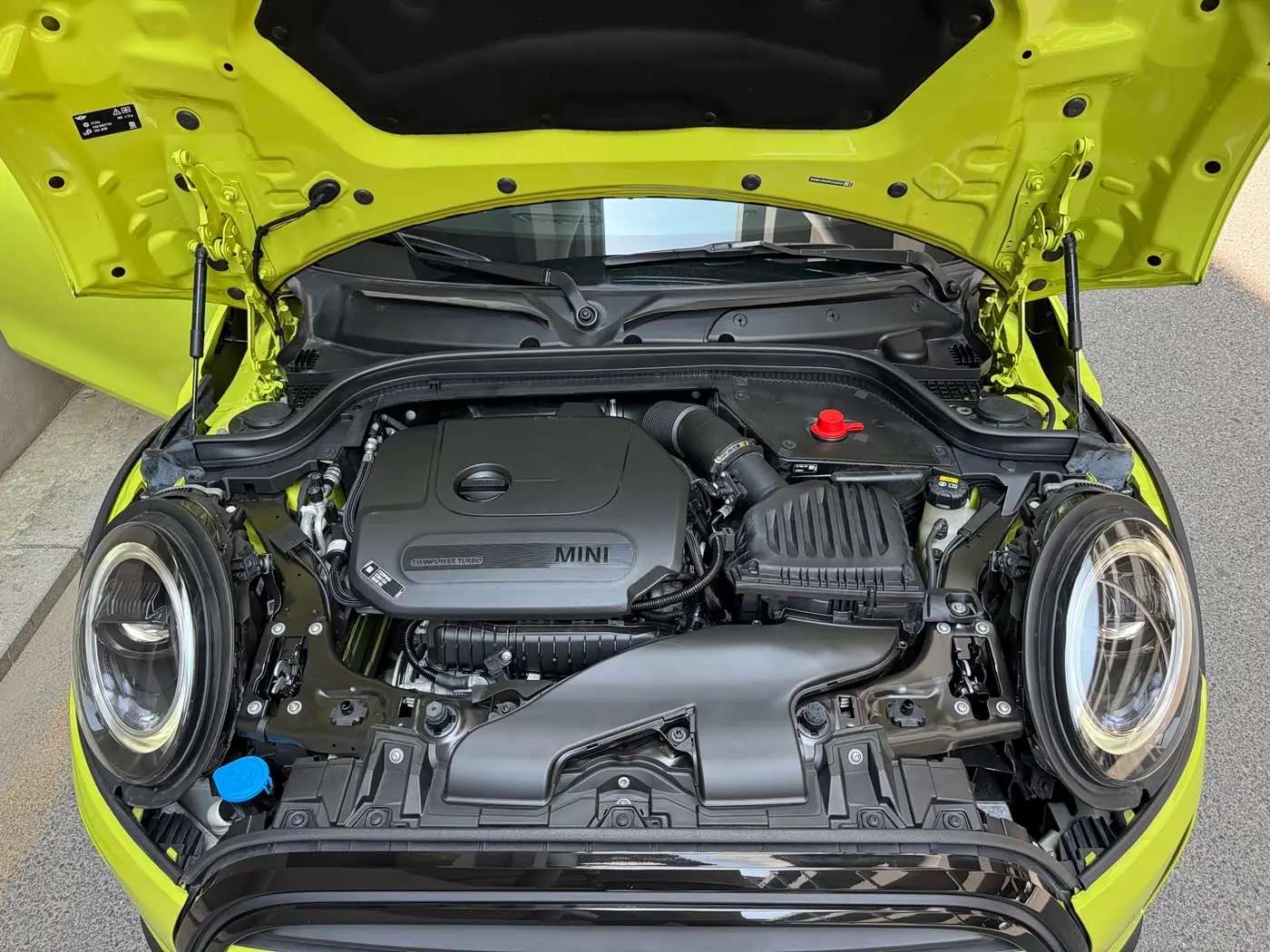 MINI MINI 2022 — Photo 19/20
