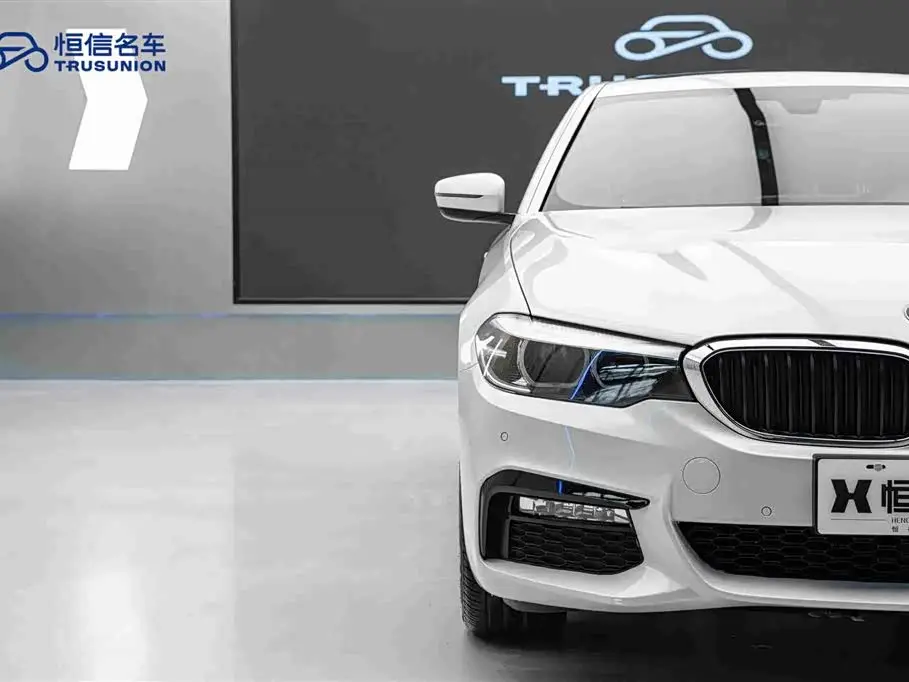 BMW 5 Series 2019 — Photo 8/20
