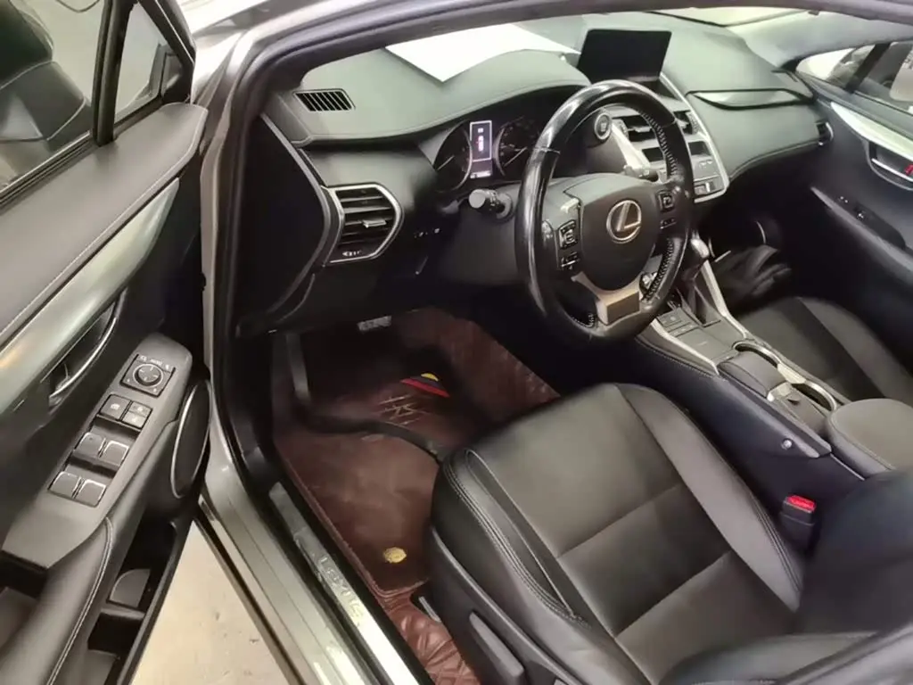 Lexus NX 2017 — Photo 16/20