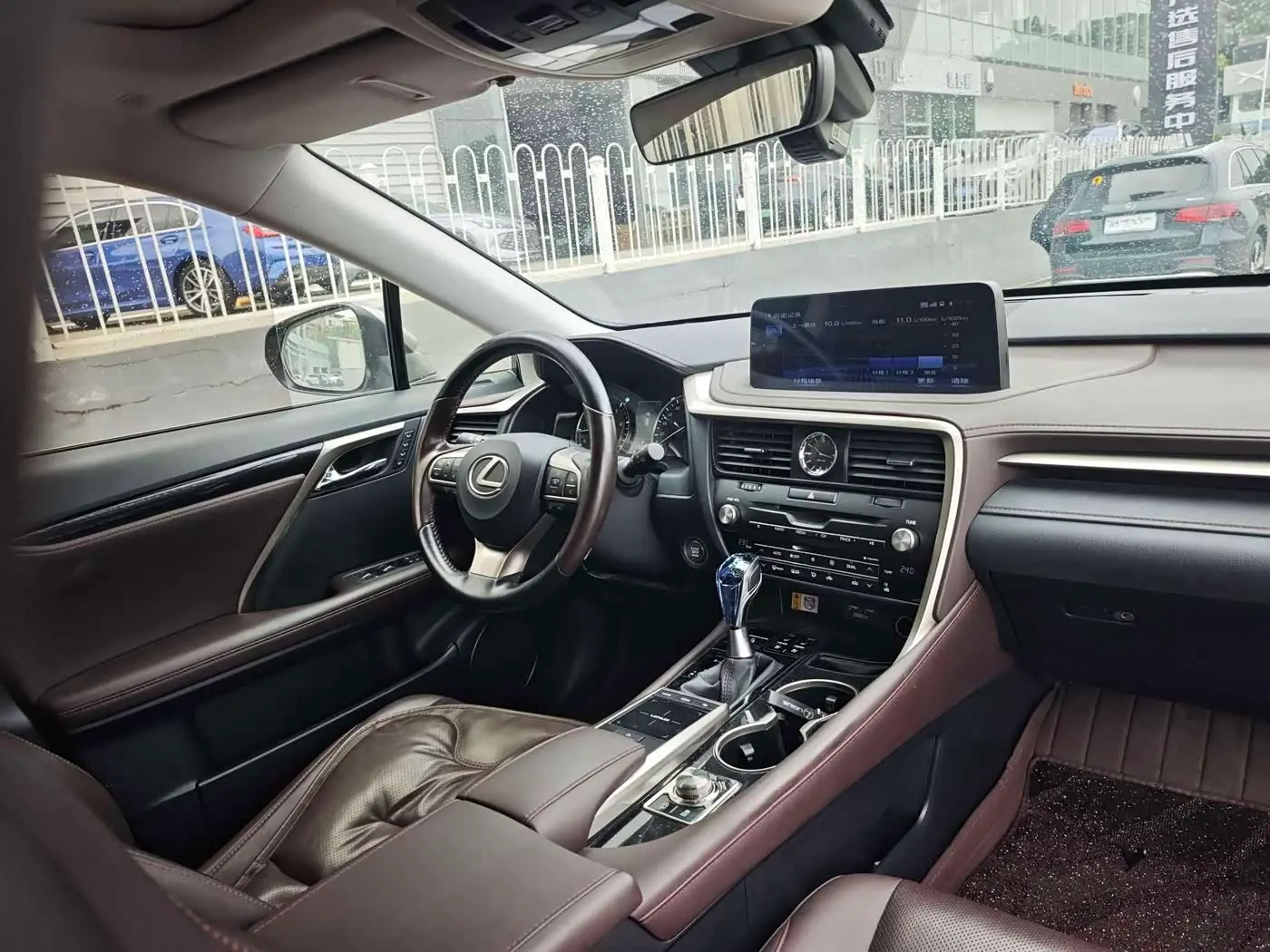 Lexus RX 2022 — ფოტო 15/18
