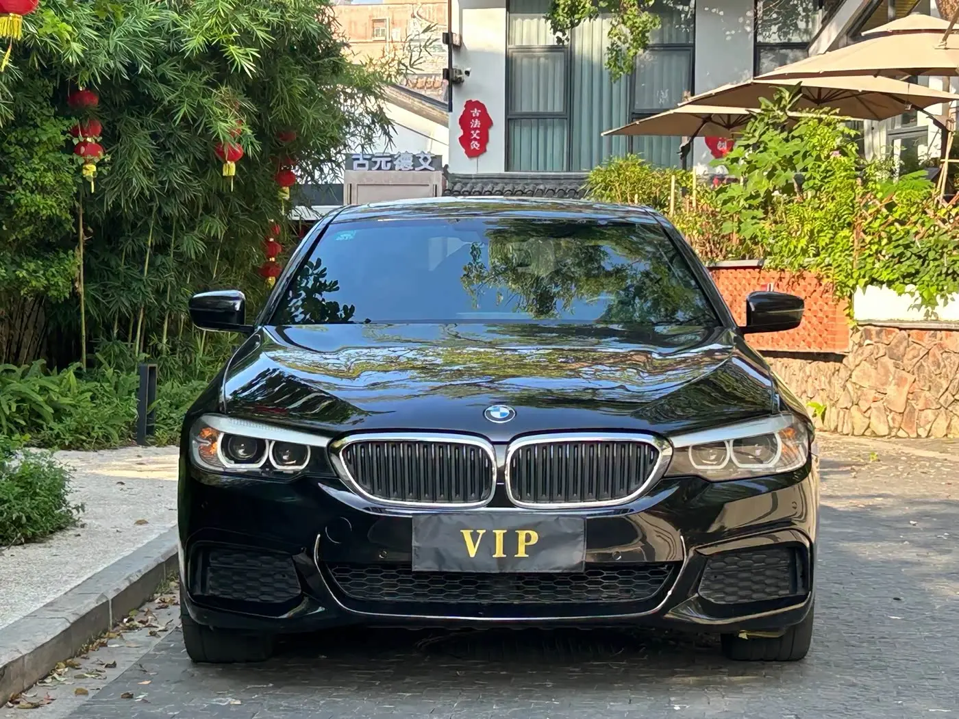 BMW 5 Series 2019 — Фото 2/9