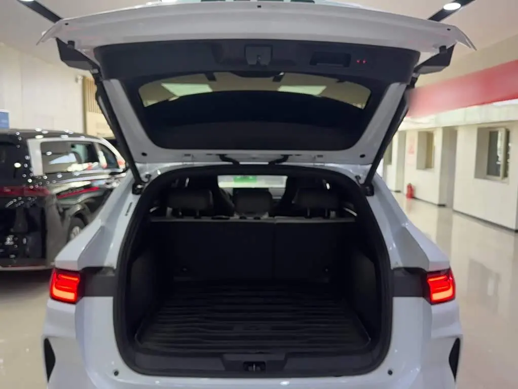 BYD Song PLUS PHEV 2025 — Şəkil 17/20