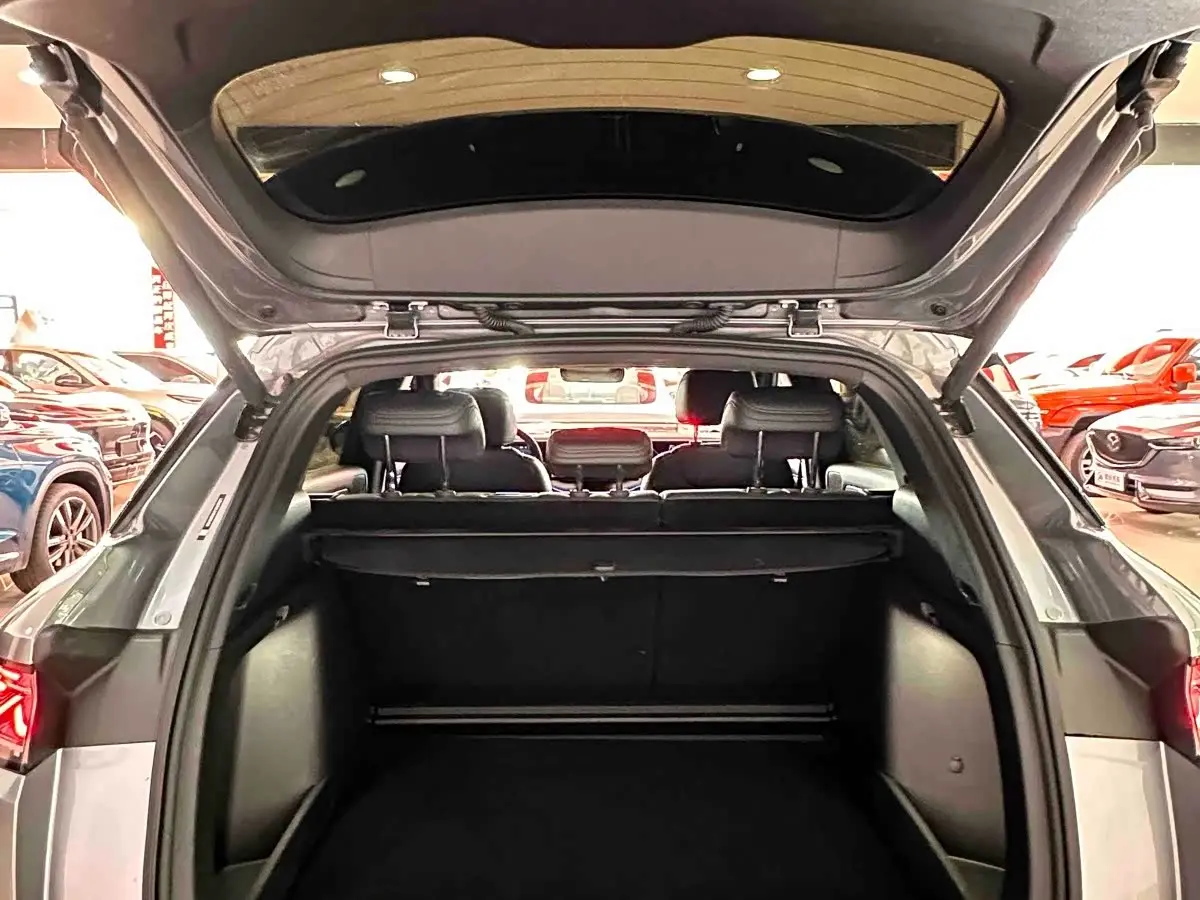 BYD Song L DM-i 2025 — Photo 15/20