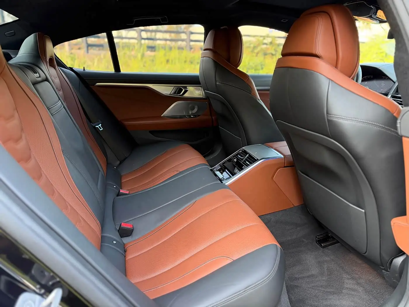 BMW 8 Series 2021 — Photo 11/20