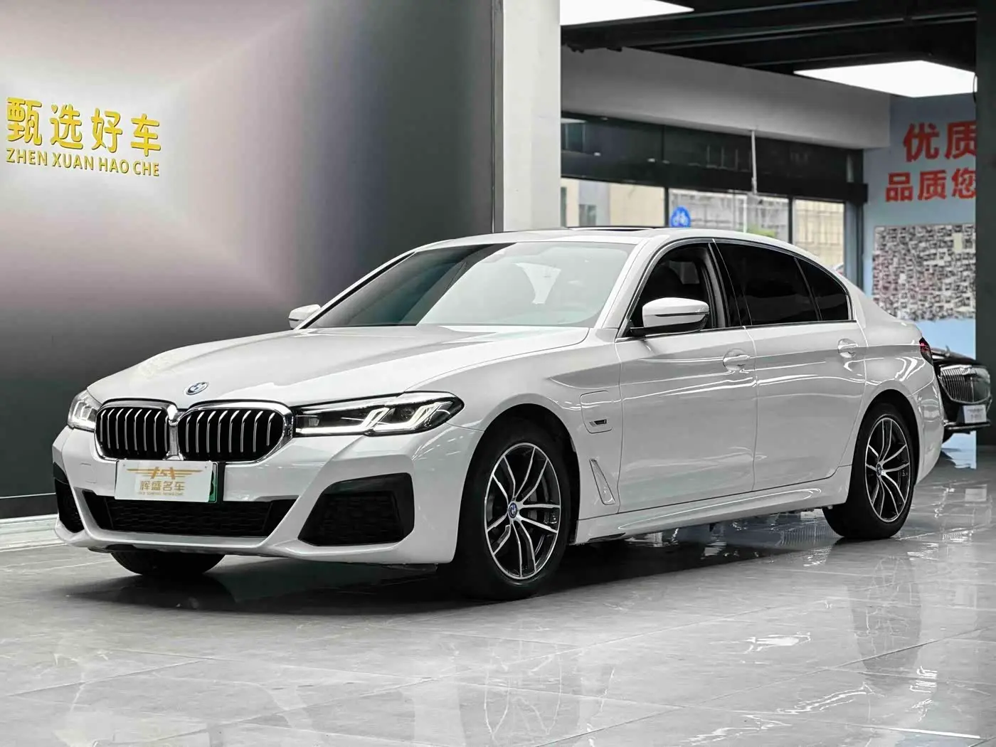 BMW 5 Series New Energy 2021 — Photo 1/9