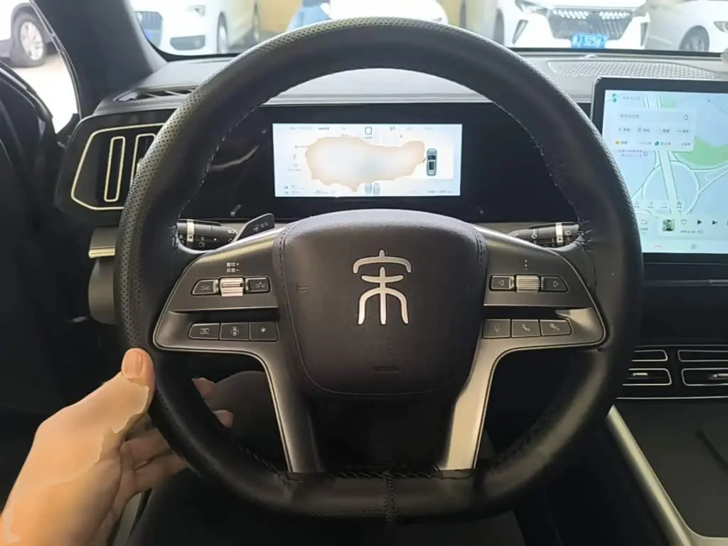 BYD Song Pro New Energy 2025 — Фото 10/19