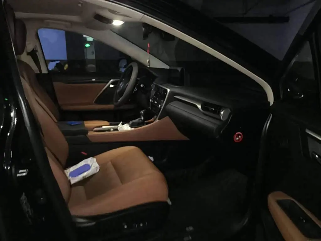 Lexus RX 2021 — ფოტო 12/12