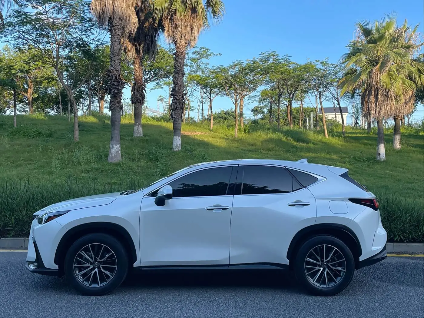 Lexus NX 2022 — Photo 5/9