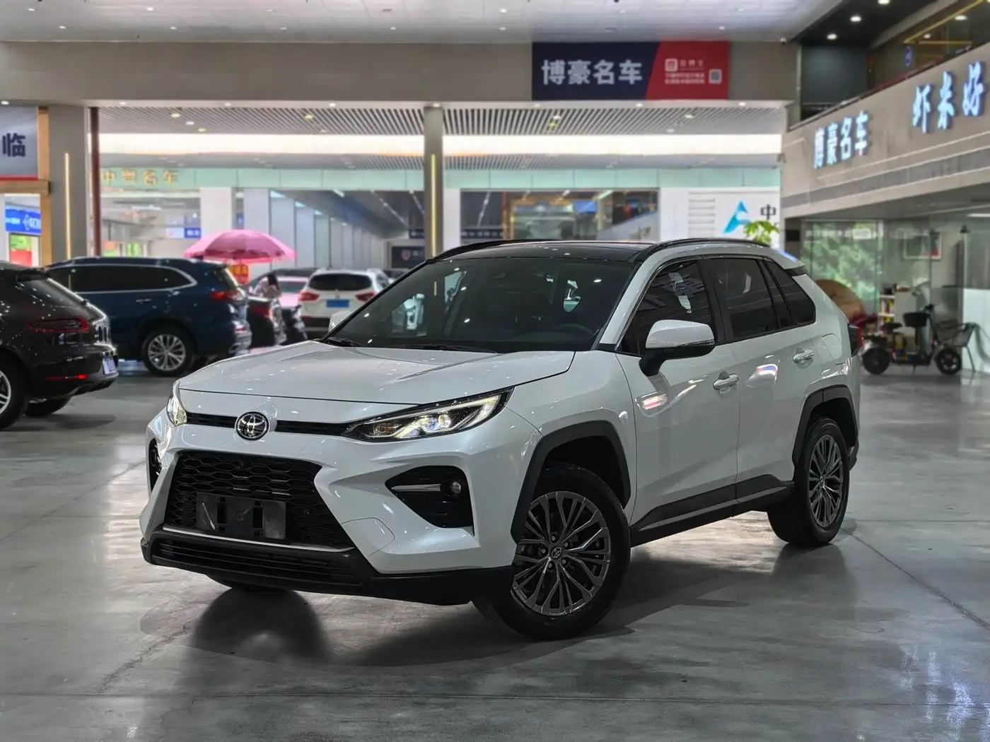 Toyota Wildlander, 2024