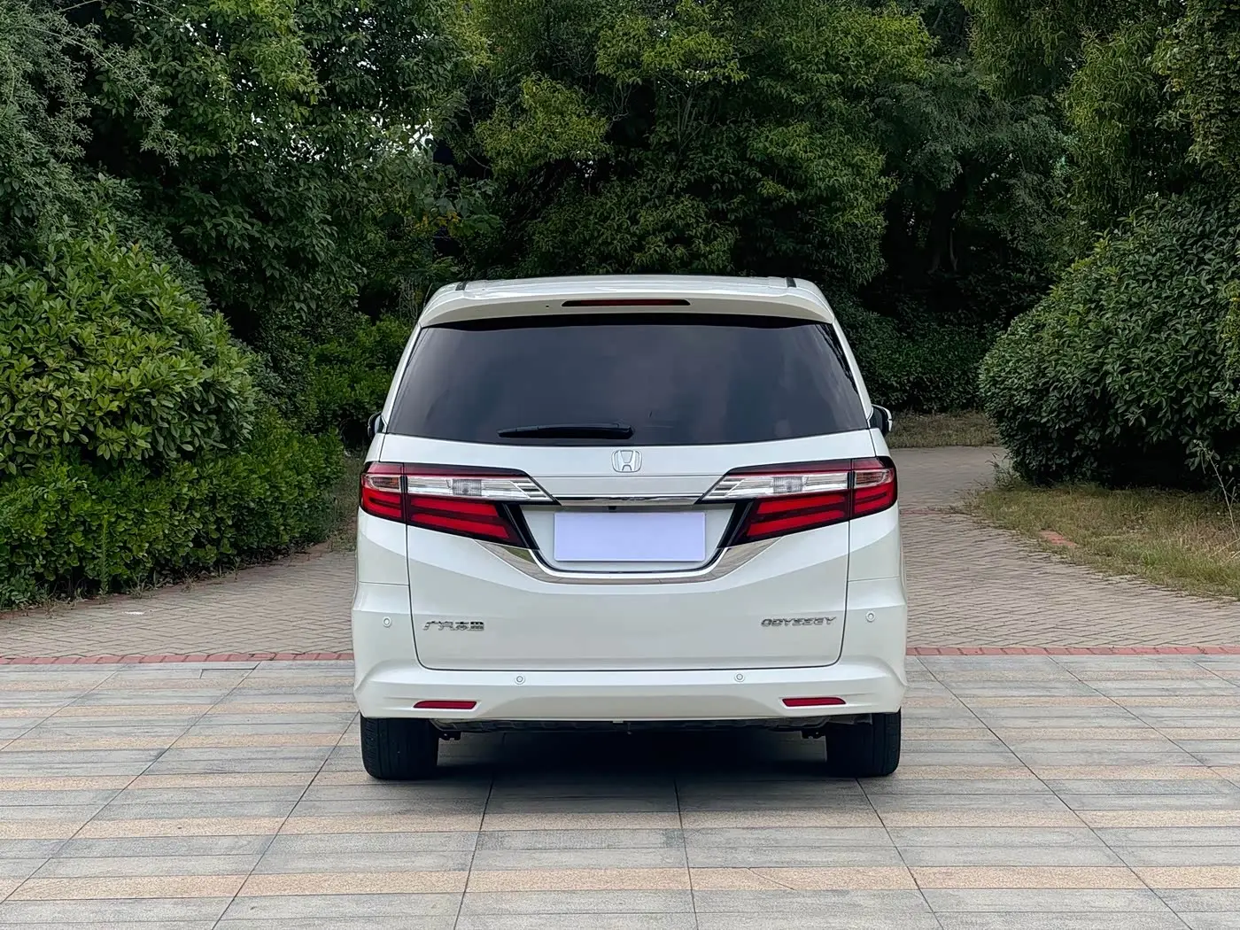 Honda Odyssey 2019 — Фото 11/12
