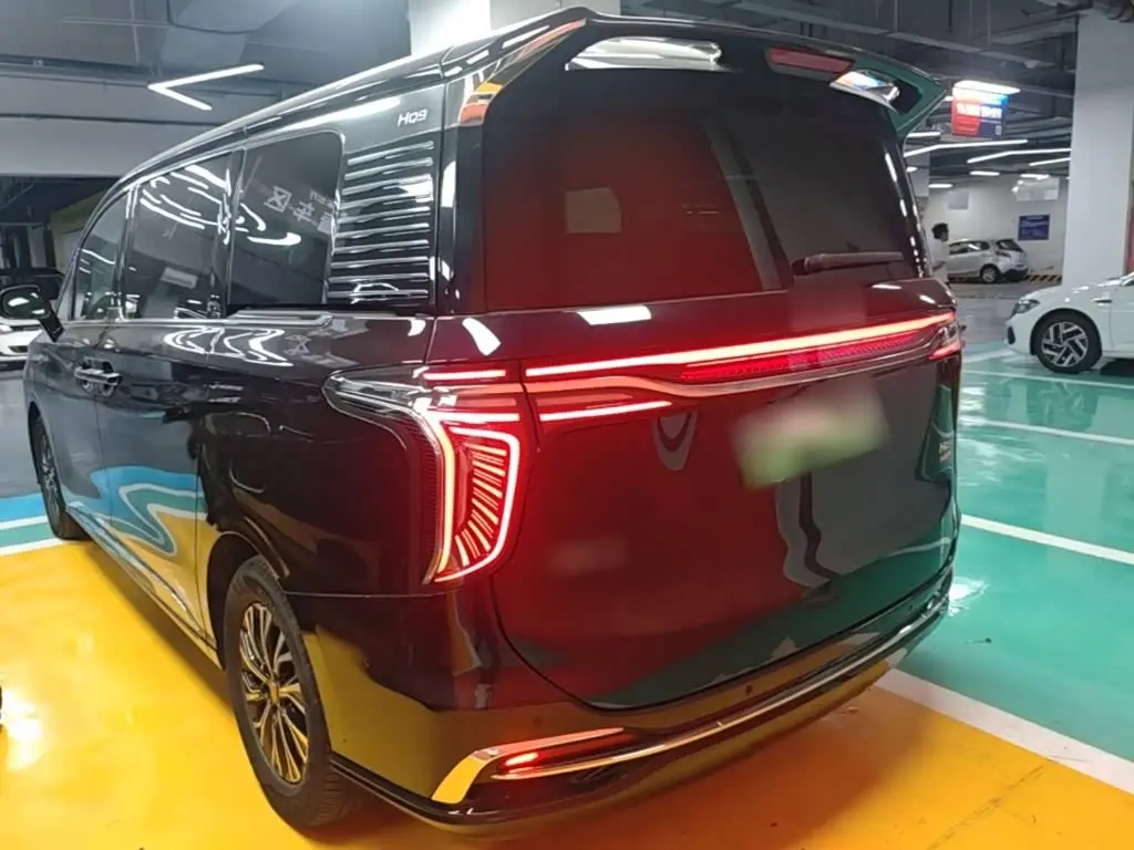 Hongqi HQ9 PHEV 2024 — Şəkil 6/20