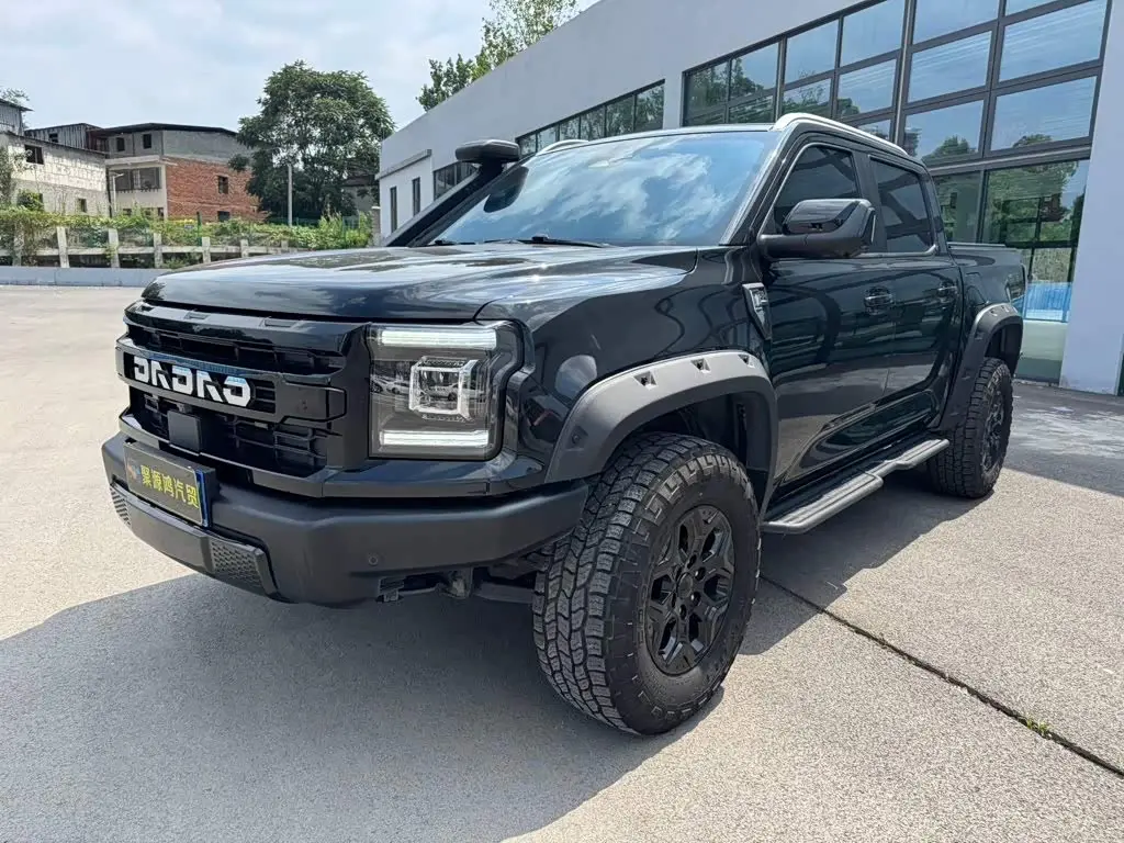 Jiangling Dadao 2025 — Şəkil 1/9