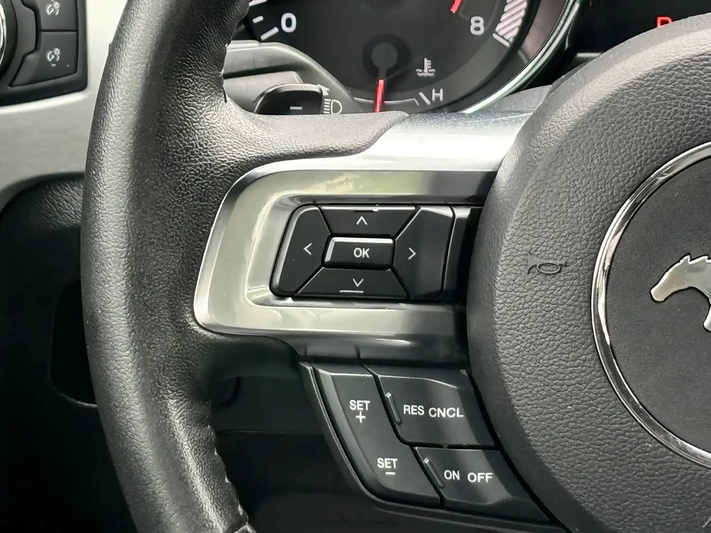 Ford Mustang 2017 — ფოტო 14/19