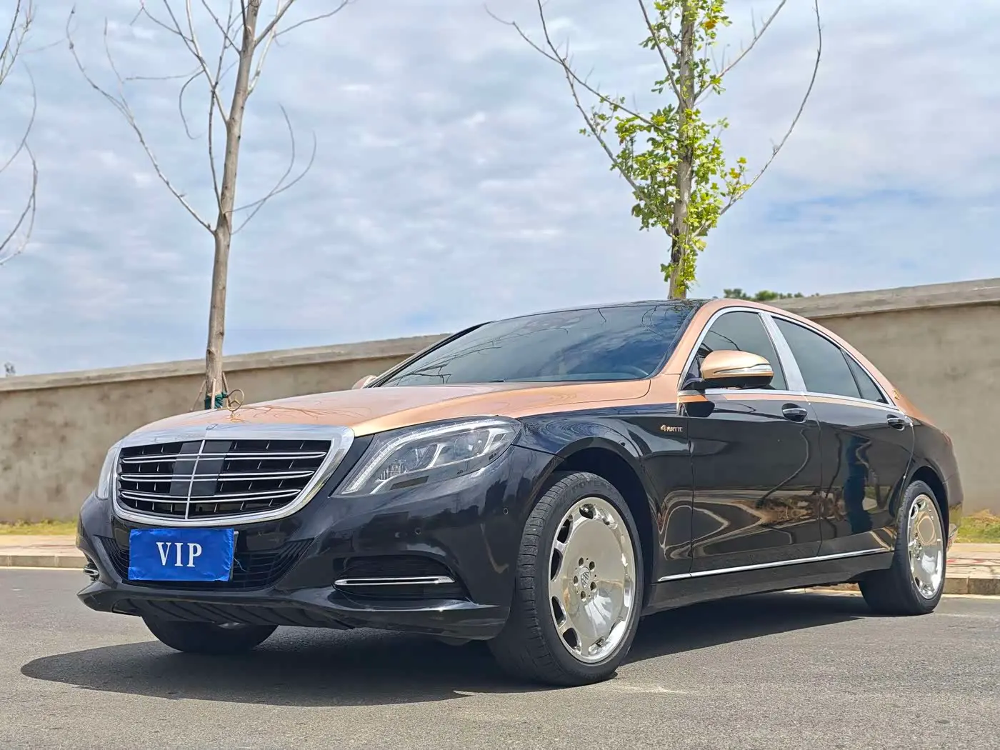 Mercedes-Benz S-Class 2016 — Photo 1/15