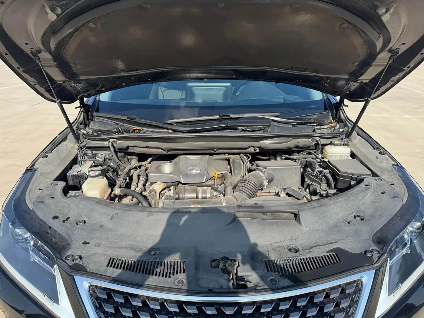 Lexus RX 2021 — Photo 19/19
