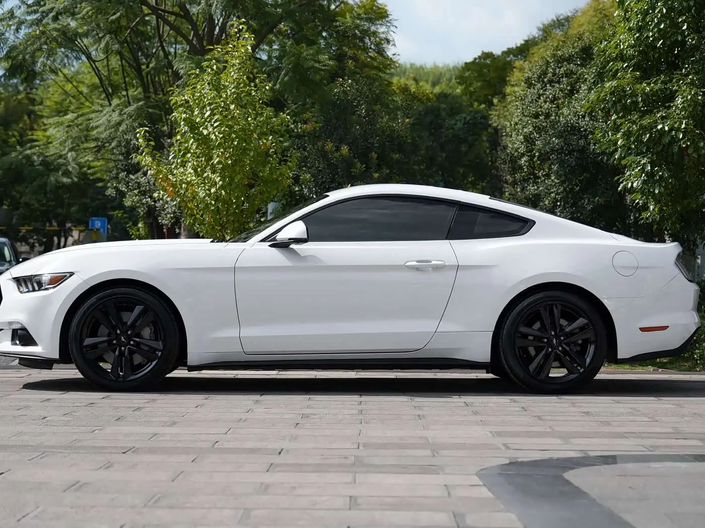 Ford Mustang 2017 — Photo 11/14