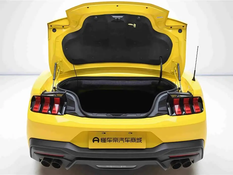 Ford Mustang 2024 — Şəkil 17/20